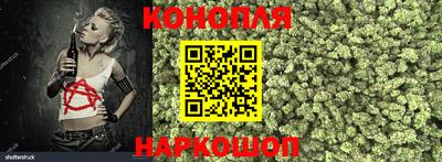 прущая мука Ачхой-Мартан